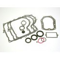 Pochette joints origine d'origine référence 494241 pour moteur Briggs et Stratton