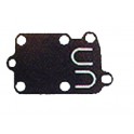 Membrane d'origine 272538S pour moteur Briggs et Stratton 2