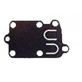 Membrane d'origine 272538S pour moteur Briggs et Stratton