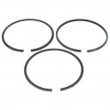 Jeu de segments standard racleur 2 parties origine d'origine référence 499631 pour moteur Briggs et Stratton