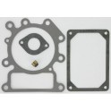 Kit joint soupapes d'origine référence 794152 pour moteur Briggs et Stratton