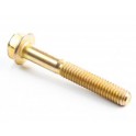 Vis d'origine référence 690360 pour moteur Briggs et Stratton