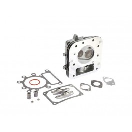 Culasse d'origine référence 796183 pour moteur Briggs et Stratton