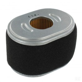 Cartouche de filtre d'origine référence 590601 pour moteur Briggs et Stratton