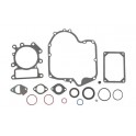 Pochette de joints d'origine référence 796187 pour moteur Briggs et Stratton
