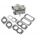 Carburateur origine starter manuel d'origine référence 791230 pour moteur Briggs et Stratton 2