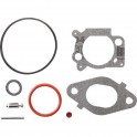 Kit joints réparation carburateur d'origine référence 796612 pour moteur Briggs et Stratton 2