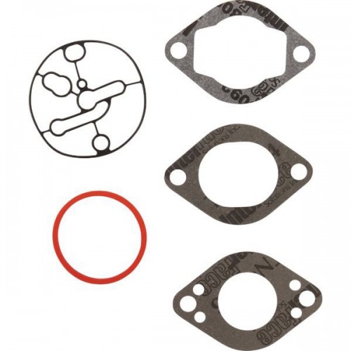 Kit carburateur d'origine référence 696146 pour moteur Briggs et Stratton 2