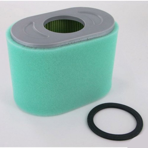 Filtre a air avec pré-filtre d'origine référence 797032 pour moteur Briggs et Stratton 2