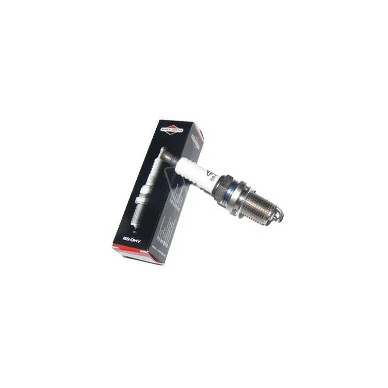 Kit entretien révision moteur model 21 vertical origine 992236 pour moteur Briggs et Stratton