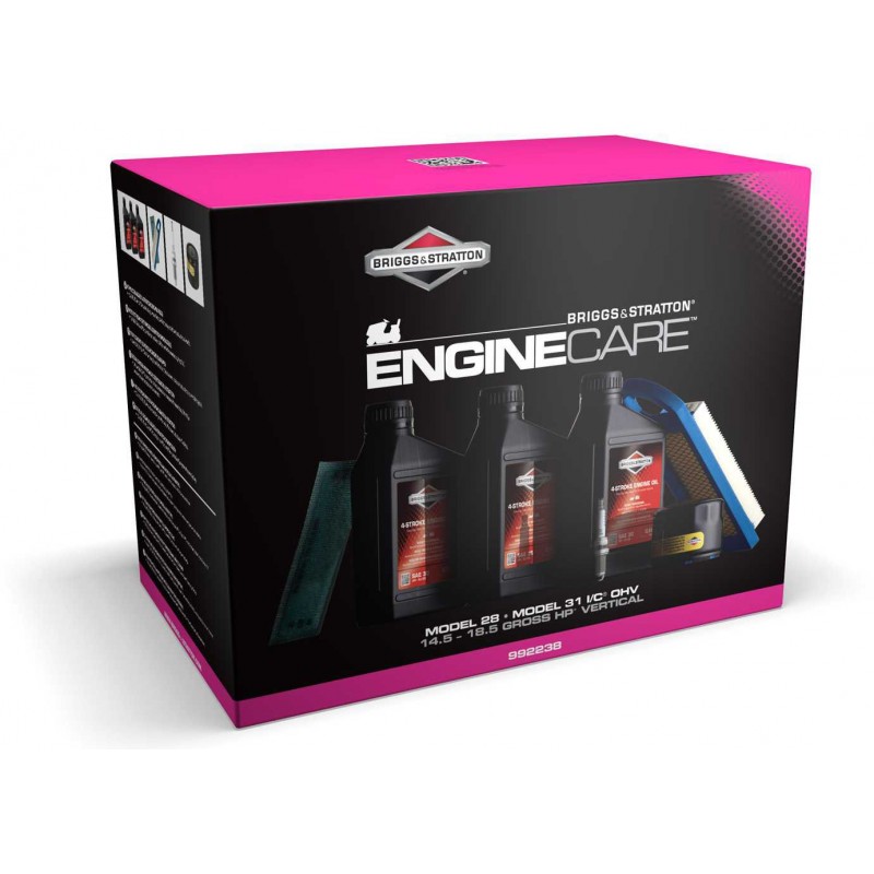 Kit entretien révision moteur model 31 vertical d'origine référence 992238 pour moteur Briggs et Stratton