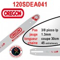 Guide chaine 30cm doubleguard OREGON 120SDEA041