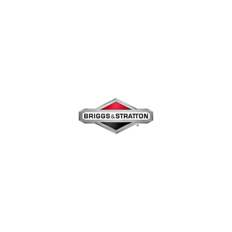 Valve - admission d'origine référence 595688 pour moteur Briggs et Stratton