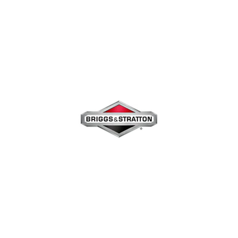 Autocollant emissions d'origine référence 799853 pour moteur Briggs et Stratton