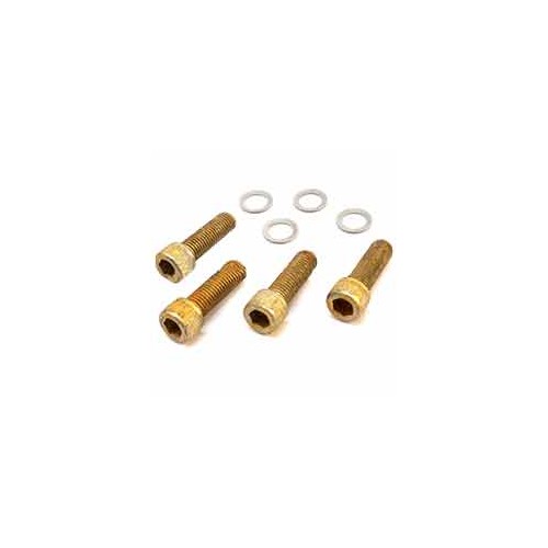 Kit visserie pompe d'origine référence 192131GS pour moteur Briggs et Stratton