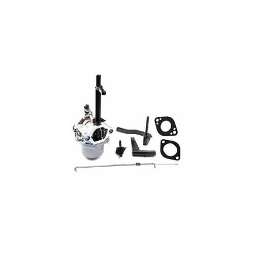 Carburateur d'origine référence 591378 pour moteur Briggs et Stratton
