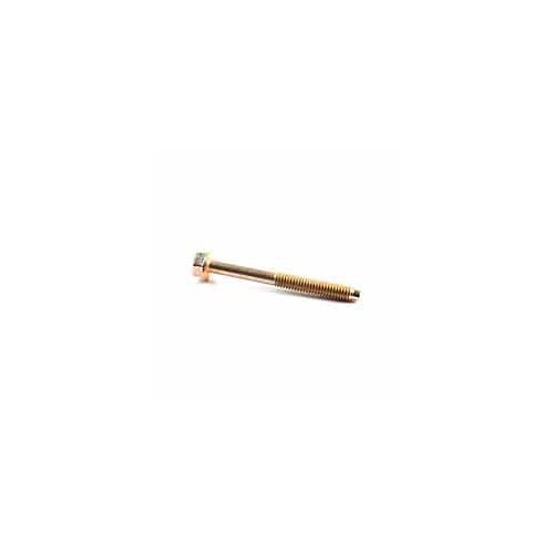 Vis de culasse d'origine référence 690904 pour moteur Briggs et Stratton