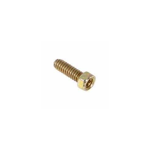 Vis de carburateur d'origine référence 690953 pour moteur Briggs et Stratton