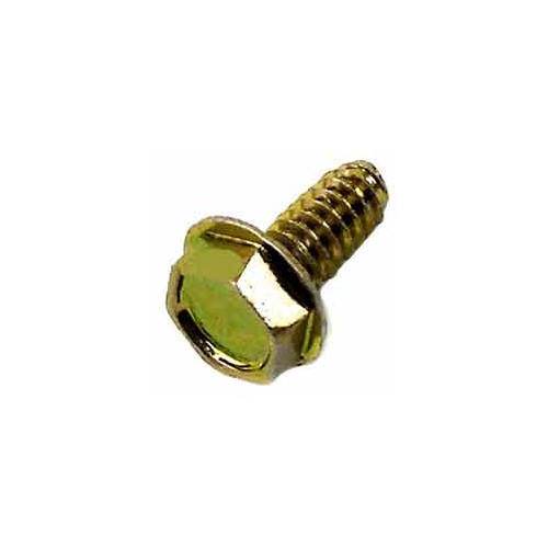 Vis auto taraudeuse d'origine référence 691003 pour moteur Briggs et Stratton