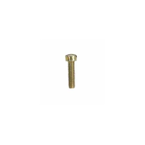 Vis d'origine référence 691615 pour moteur Briggs et Stratton