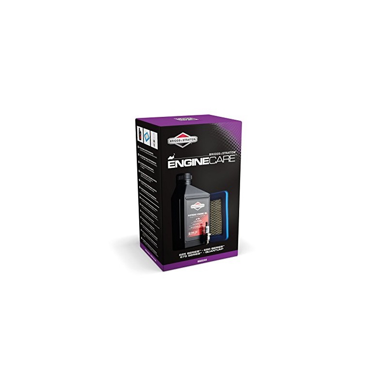 Kit entretien révision moteur quantum d'origine référence 992244 Briggs et Stratton