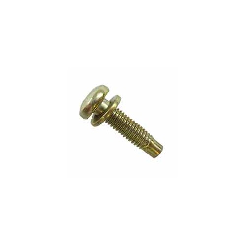 Vis d'origine référence 790029 pour moteur Briggs et Stratton