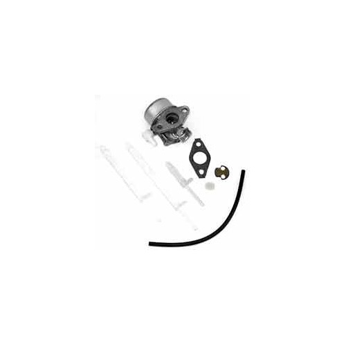 Carburateur d'origine référence 798917 pour moteur Briggs et Stratton