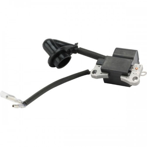 Bobine electronique tr250j référence 118802072/0 Alpina GGP