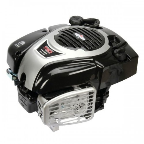 Moteur DOV 700 5cv OHV référence 100602-0151 Briggs et Stratton