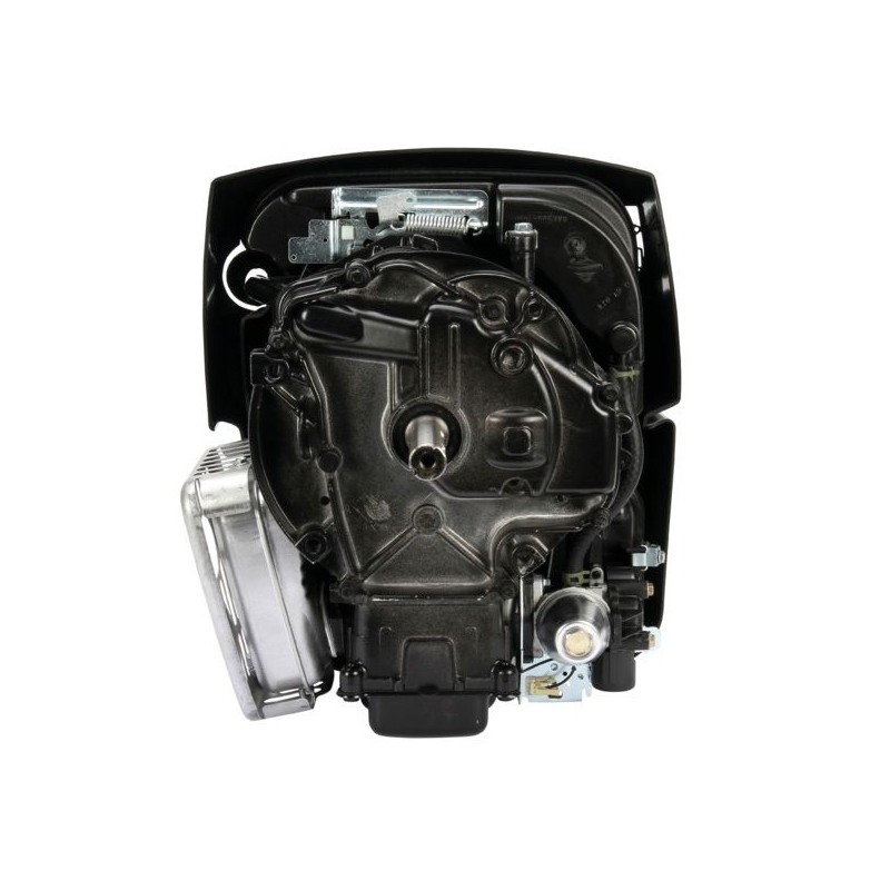 Moteur DOV 700 5cv OHV référence 100602-0151 Briggs et Stratton