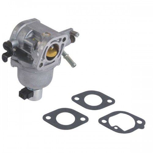 Carburateur d'origine référence 699807 pour moteur Briggs et Stratton 2
