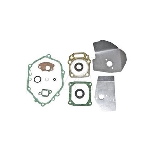 Kit joint 75110416 référence 3061M60008 d'origine MTD / Cub Cadet / Troy-Bilt