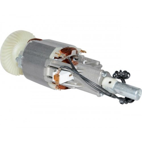 Moteur électrique OTC10 référence 69374 WOLF