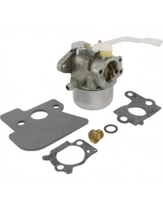Carburateur d'origine référence 694203 pour moteur Briggs et Stratton
