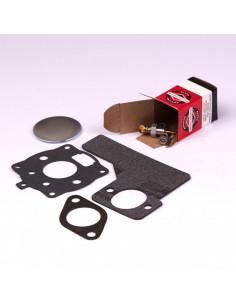 Kit carburateur d'origine référence 394989 pour moteur Briggs et Stratton