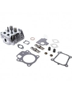 Culasse d'origine référence 84003960 pour moteur Briggs et Stratton