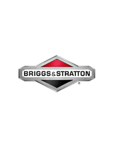 Moteur horizontal 18cv vanguard bicylindre d'origine référence 356447-0647 moteur Briggs et Stratton