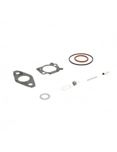 Kit carburateur complet d'origine référence 793622 pour moteur Briggs et Stratton