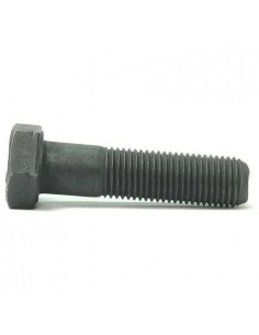 Vis de fixation lame d'origine référence 880034YP pour moteur Briggs et Stratton