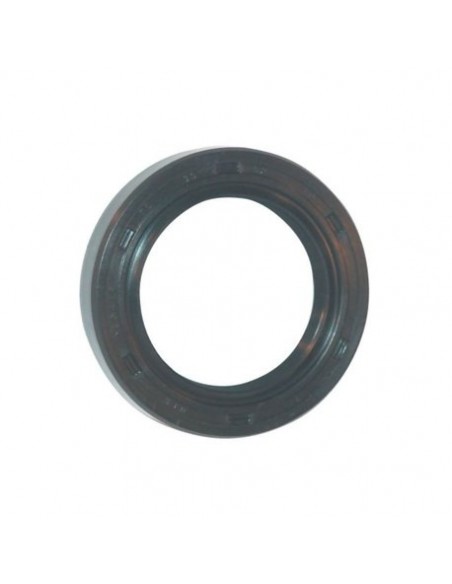 Joint huile d'origine référence 592253 pour moteur Briggs et Stratton