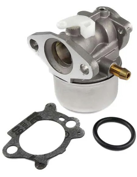 Carburateur avec poire d'amorçage remplace référence 790120 pour moteur Briggs et Stratton