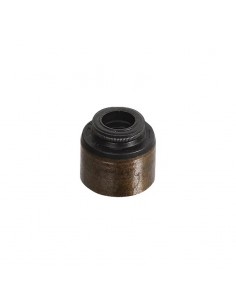 Joint de soupape d'origine référence 795440 pour moteur Briggs et Stratton