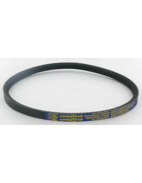 Courroie ax25-13x8x660 référence 42009 d'origine Étésia et Outils Wolf
