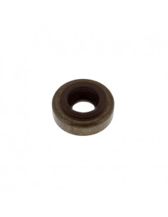 Joint de queue de soupape d'origine référence 590410 pour moteur Briggs et Stratton