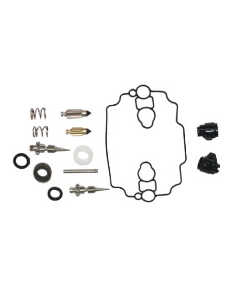 Kit carburateur d'origine référence 842873 pour moteur Briggs et Stratton