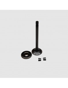 Soupape echappement d'origine référence 808687 pour moteur Briggs et Stratton