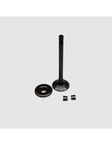 Soupape echappement d'origine référence 808687 pour moteur Briggs et Stratton