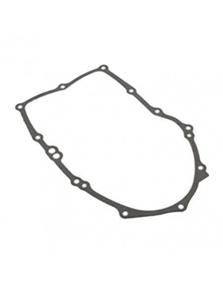 Joint de carter 015 d'origine référence 846037 pour moteur Briggs et Stratton