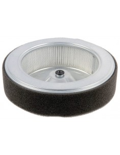 Filtre a air gx630r d'origine référence 17210-Z6L-010 Honda