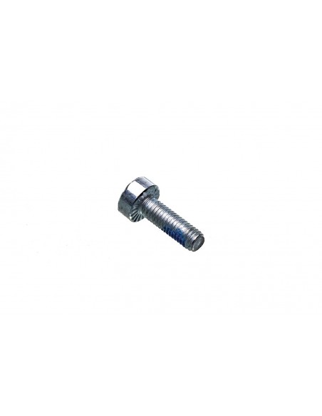 Vis cylindrique is m5 x 16 référence 9022 341 0980 Stihl